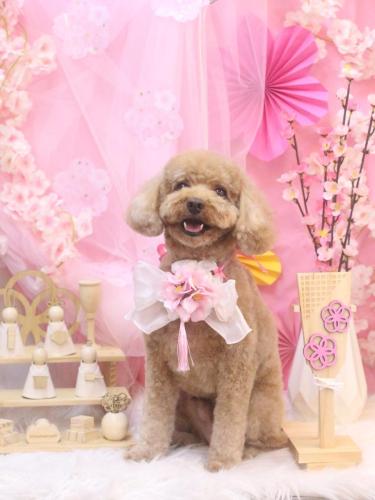 20250301コアくん